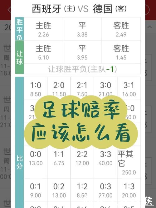 世界杯竞彩：投注赔率解读详解